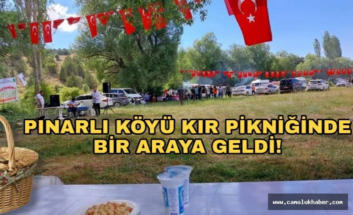 Pınarlı Köyü Derneğinin Düzenlediği Kır Pikniğinde Pınarlı'lar Bir Araya Geldi.