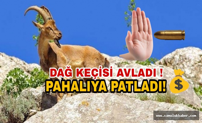 Dağ Keçisi Avlayan Şahsa Rekor Para Cezası Kesildi!