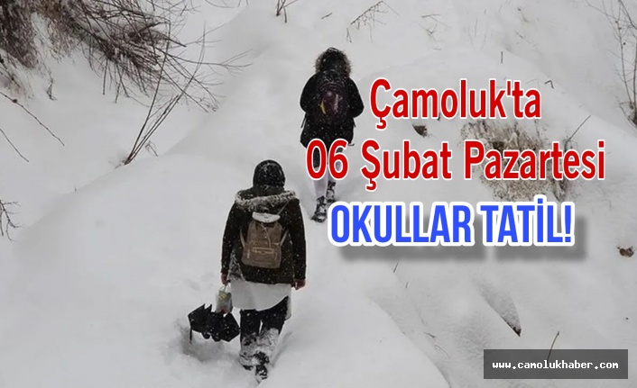 Çamoluk'ta Kar Nedeniyle Okullar 06 Şubat Pazartesi Tatil!