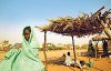 Sudan'lı Yetimleri Alucra'lı Hemşehrimiz Giydirecek
