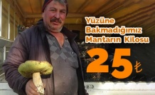 Yüzüne Bakmadığımız Mantar Geçim Kaynakları Oldu
