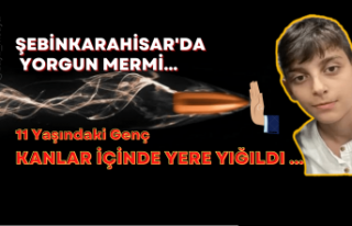 Şebinkarahisar'da Yorgun Mermi İsabet Eden...