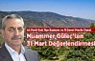 Muammer Güleç'ten 31 Mart Değerlendirmesi