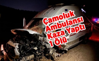 Çamoluk Ambulansı kaza Yaptı 1 Ölü