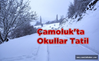 Çamoluk'ta Okullar Tatil