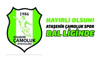 Ataşehir Çamoluk Spor Bal Liginde