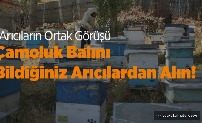 Çamoluklu Arıcılar: Çamoluk'ta Satılan Her Bal Çamoluk Balı Değil