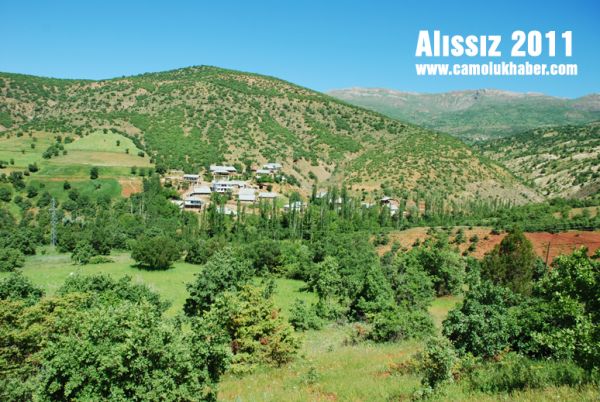 Alıssız 2011