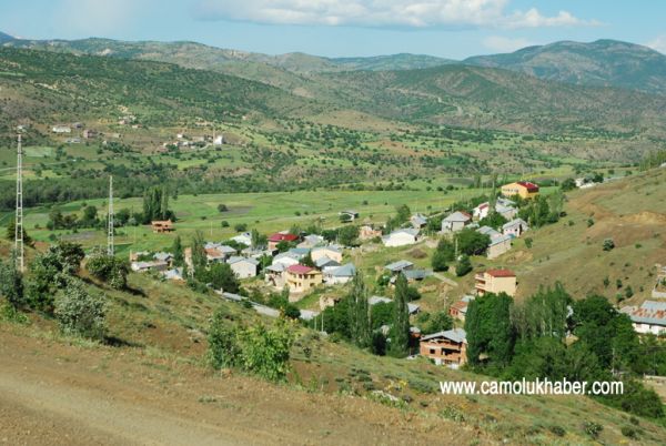 Çamoluk Yazılar Mah.2011