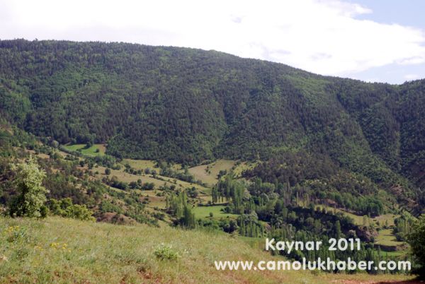 Kaynar 2011