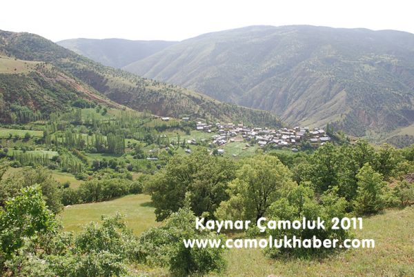 Kaynar 2011