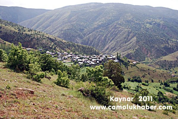 Kaynar 2011