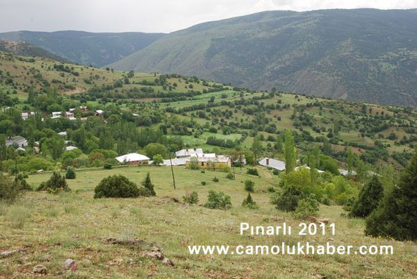 Pınarlı 2011