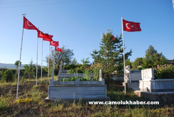 Çamoluk Şehitlik 1