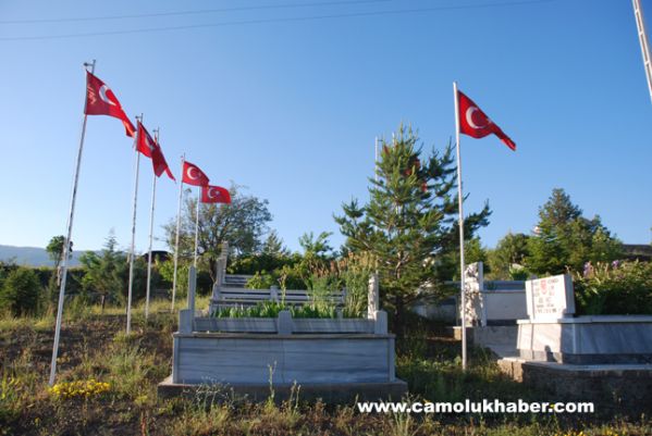 Çamoluk Şehitlik 2