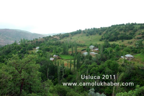Usluca 2011