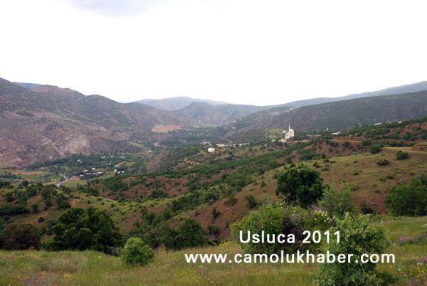 Usluca 2011
