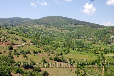 Yenice