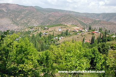 Yenice