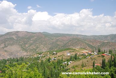 Yenice
