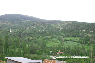 Yenice
