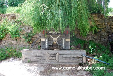 Yenice Çeşme2