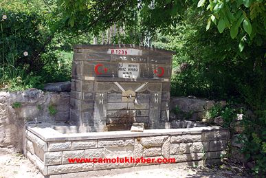 Yenice Çeşme4