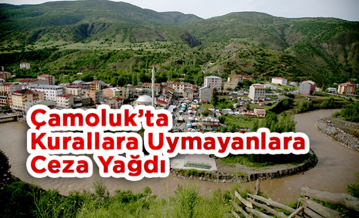 Çamoluk'ta Kurallara Uymayanlara Ceza