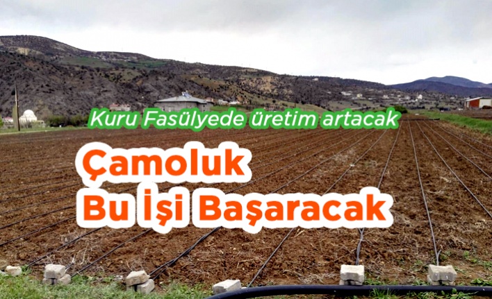 Çamoluk bu işi Başaracak