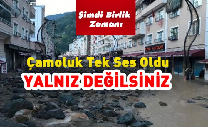 Çamoluk Tek Ses Oldu "Yanınızdayız