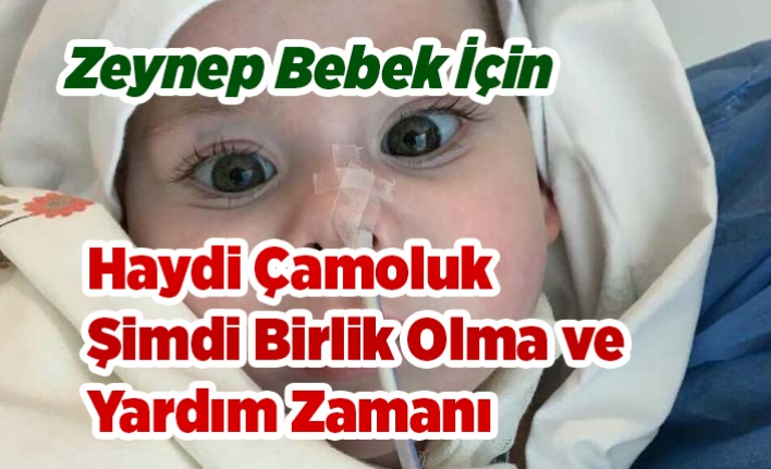 Haydi Çamoluk Şimdi Yardımlaşma Zamanı