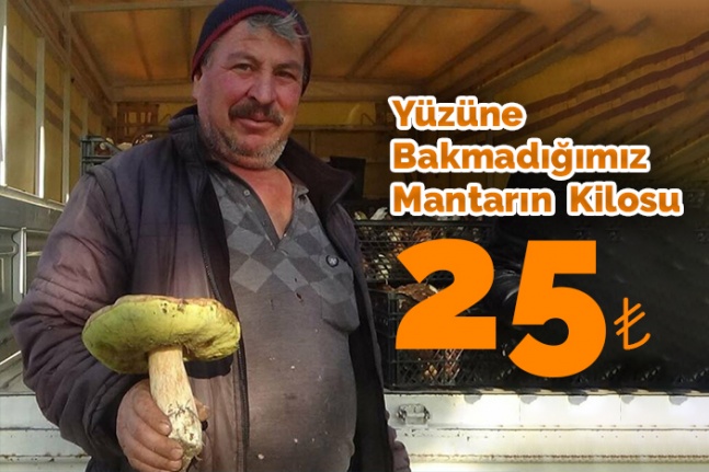 Yüzüne Bakmadığımız Mantar Geçim Kaynakları Oldu