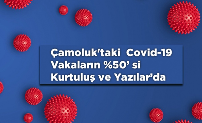 Çamoluk'taki Vakaların %50'si İki Mahallede