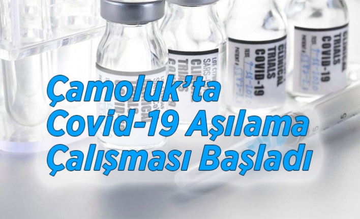 Çamoluk'ta  Aşılama Çalışması Başladı