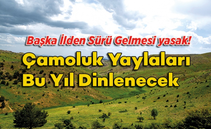 Çamoluk Yaylaları Bu Yıl Dinlenecek