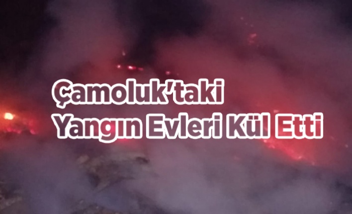 Çamoluk'taki  Yangın Evleri Kül Etti