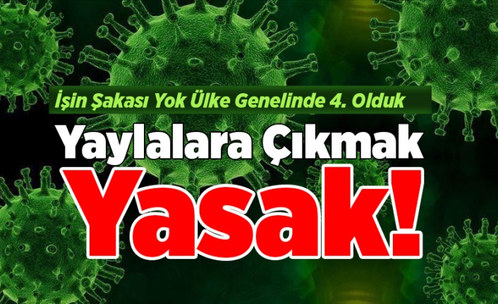 Yaylalara Çıkmak Bir Süre Yasak!