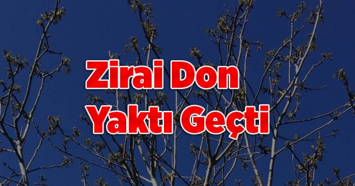 Ayaz Yaktı Geçti