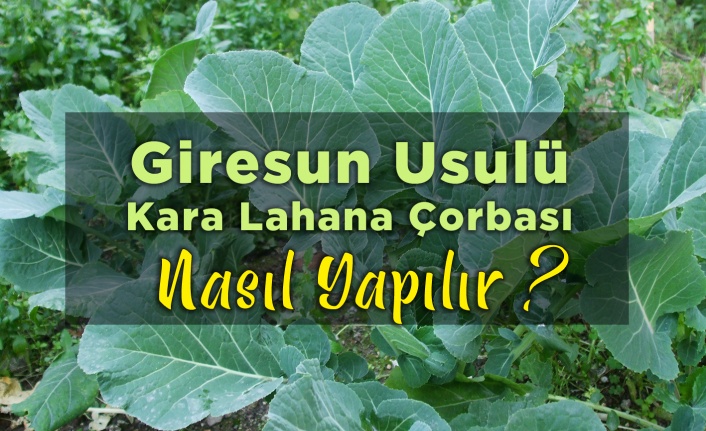 Giresun Usulü Kara Lahana Çorbası