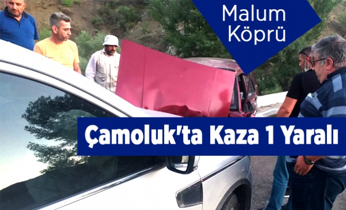 Çamoluk'ta Kaza 1 Yaralı