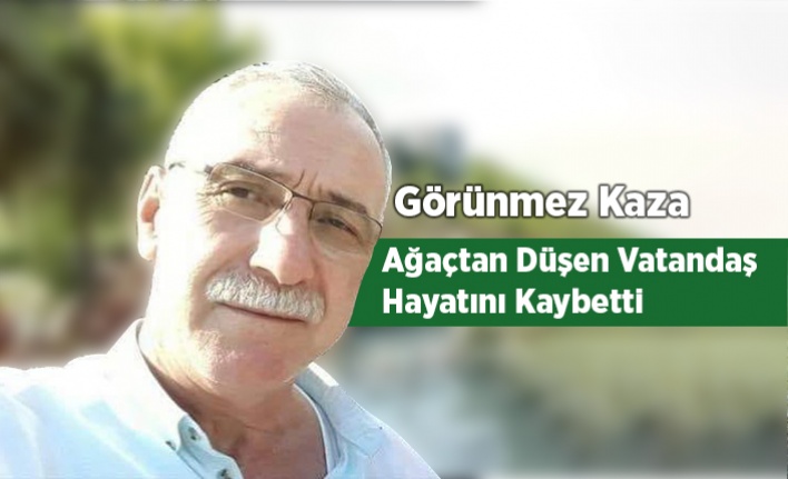 Görünmez Kaza, Ağaçtan Düşen Vatandaş Vefat Etti