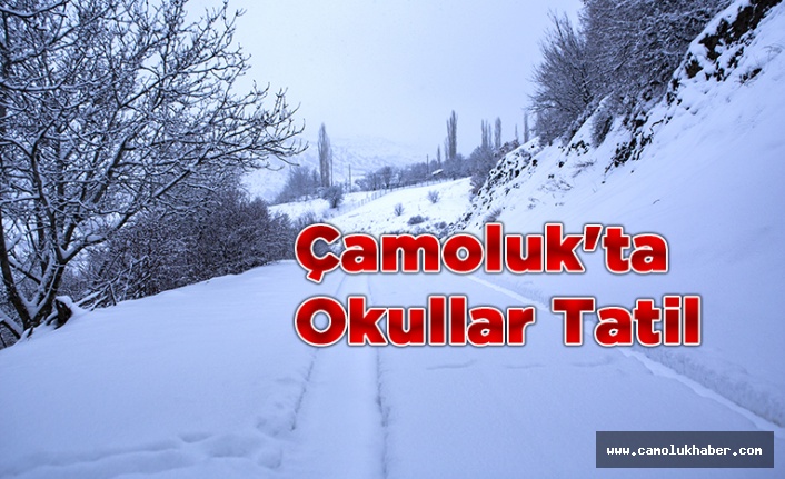 Çamoluk'ta Okullar Tatil