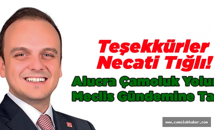 Teşekkürler Necati Tığlı