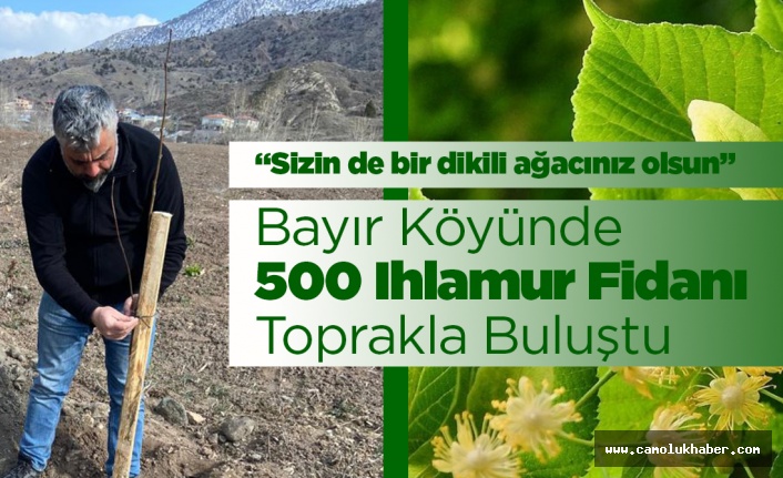 Bayır'da 500 Ihlamur Fidanı Toprakla Buluştu