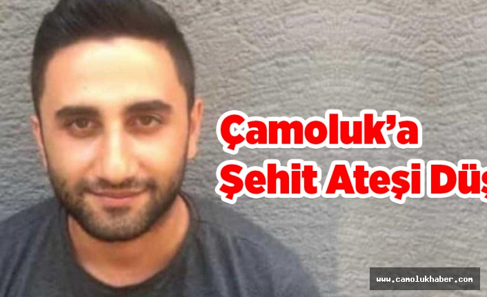 Çamoluk'a Şehit Ateşi Düştü