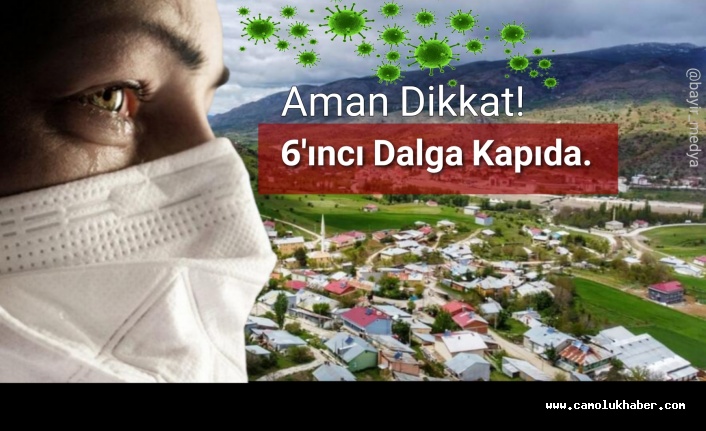 Kurban Bayramı'nda Dikkat! Pire İçin Yorgan Yakmayalım.