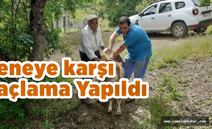 Keneye karşı İlaçlama Yapıldı