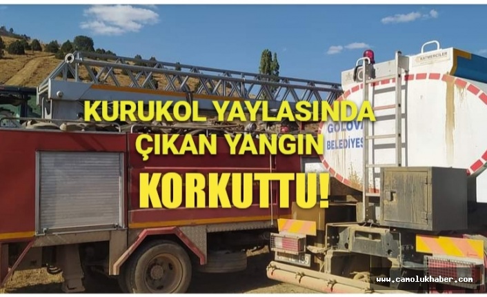 Kurukol Yaylasında Çıkan Yangın Korkuttu!