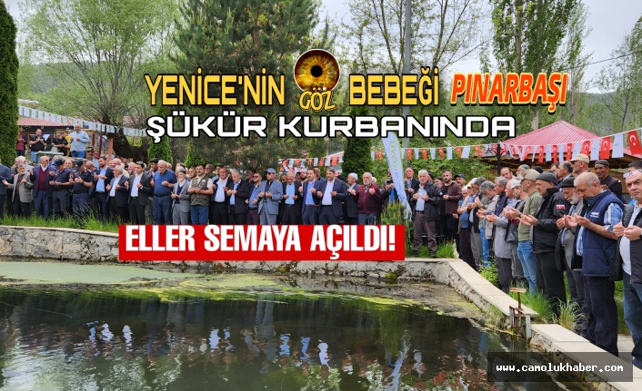 Yenice Pınarbaşı Şükür Kurbanında Eller Semaya Kalktı!