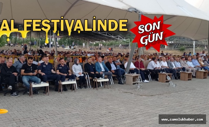 29.Çamoluk bal Festivalinde son gün yoğunluğu